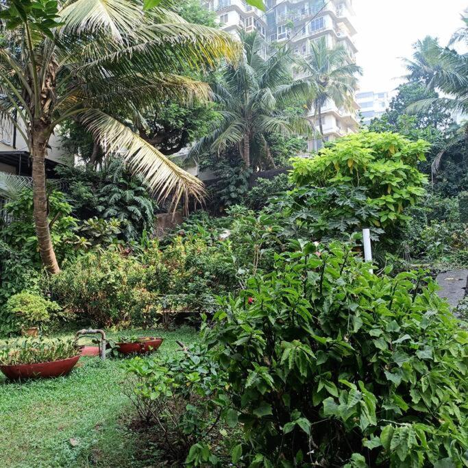 Cozy Private Ac Studio By The Sea Bandstand Bandra W Mumbai Nr Taj Lands End Apartment Exterior photo